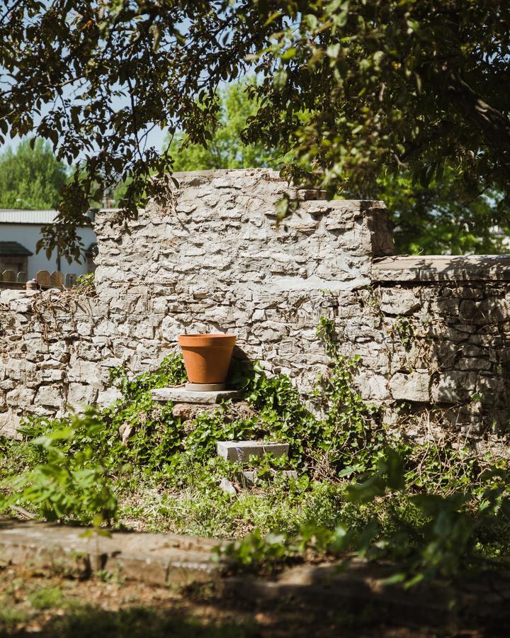 Bed and Breakfast The Mansion At Elfindale Спрингфилд Экстерьер фото